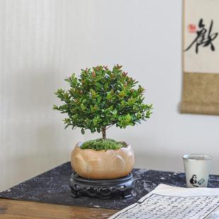 С�~��������҃ȾGֲ�����辰�͏d�k��������[�����Bֲ�����