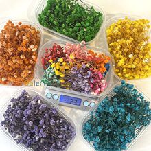 bɻb滨ins[Ĕzdiyl羳S