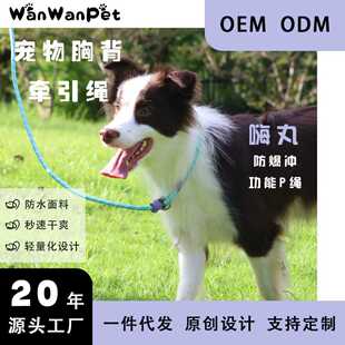 WanWan Pet��&ldquo;��&rdquo;���������_����P�K�������K�޹��K