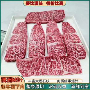 ����203��Ѫ��ţM9������ԭ��ţ��ԭ�����X߅ѩ��ţ�����r������