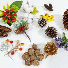 �ɻ�diy���h���ϰ���� ��Ȼ�ɹ�ɭϵ�����׃��@�ֹ�������Ȧ�٭h