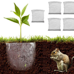 ���P䓾������o�W�����ݸ���������x�W��ֲ��������P䓽��پW��