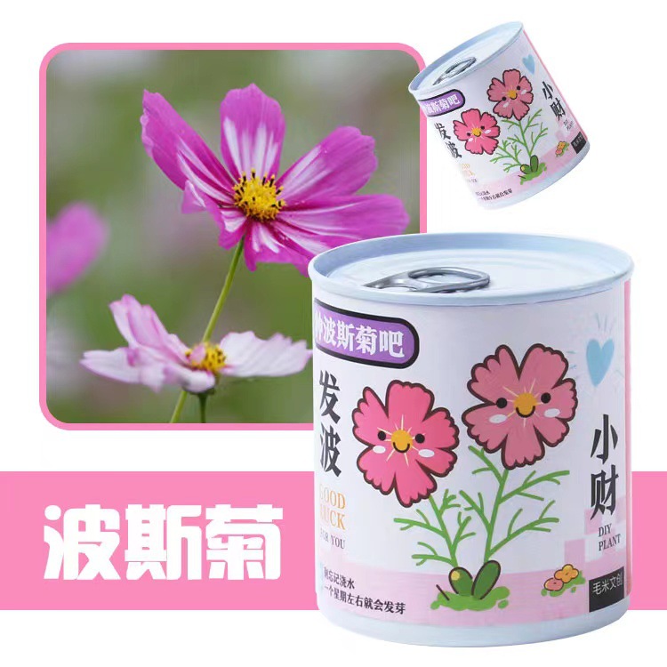 ֲް칫ҴɫСԻDIYֲѧͷƷ