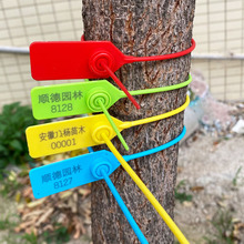 定制园林苗木打号扣一次性塑料封条扎带海钓标签物流加长封签锁扣