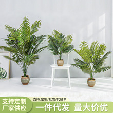 ���W����Gֲɢβ���F���~�F���������҃ȿ͏d�ҾӔ[�O�b٘���