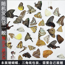 ˱˱δչ3Ǵbս̾µԭδչ