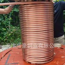 ����P��T2���~�P�܏��ɠ��~�ܲ��и��ۏ��ӹ�����ɢ���������ɫ