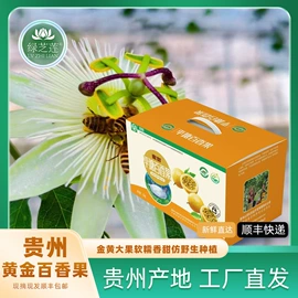 刺梨/刺梨原浆;果蔬汁;其他果干蜜饯