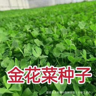 �𻨲˷N�Ӵ��~�S�����^�N���ļ����K�S����ޣ�˷N�Ӳ��^�N��