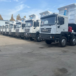 �羳��������ؿ�����F3000ǰ�ĺ��8X4���������ж܇ɰʯ��؛܇