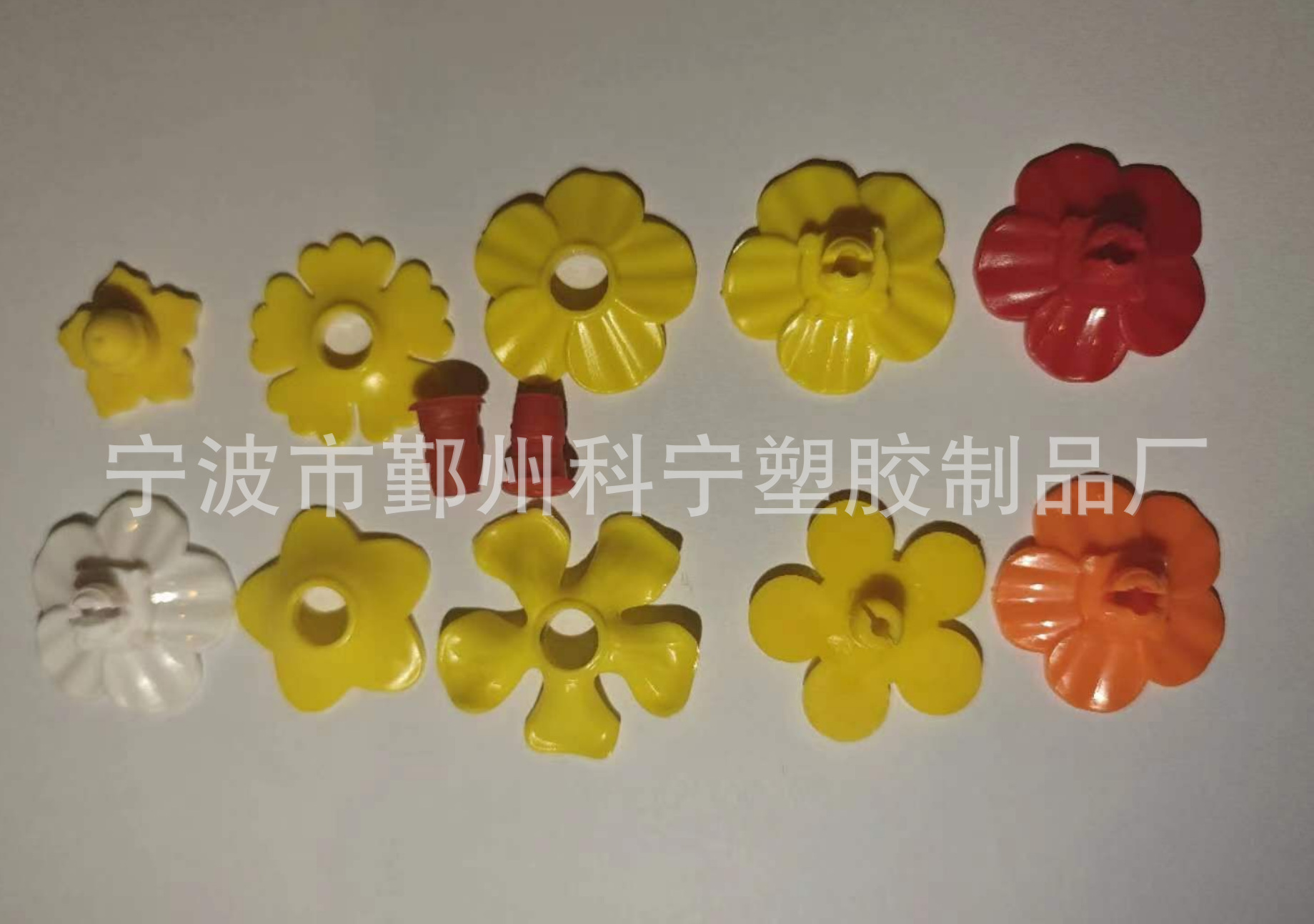 a953b745ba4d38695dcd868d71dffc