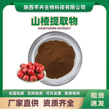 山楂提取物 水溶山楂粉 山楂浓缩粉 山楂果提取物 1kg厂家包邮