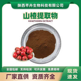 山楂提取物 水溶山楂粉 山楂浓缩粉 山楂果提取物 1kg厂家包邮