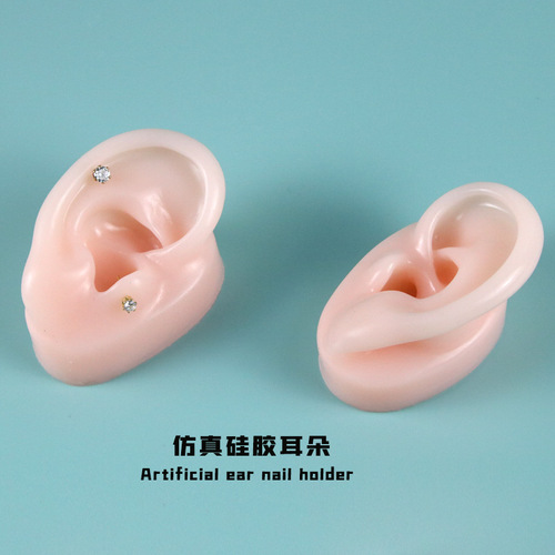 Silicone ear earring rack ear jewelry display props jewelry store jewelry store display rack ear picking teaching ear plug display