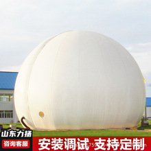 厂家加工球形双膜气柜污水垃圾餐厨养殖场沼气双膜储气柜 储气池