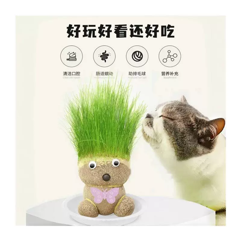 Grass doll blooming cute long grass cat grass green plant small potted grass doll indoor children creative hydroponics