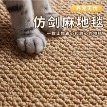 仿剑麻防猫抓地毯客厅摄影棚卧室床边入户门地垫剑麻地毯地垫