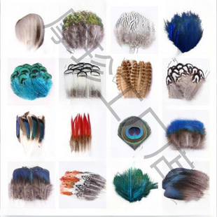 С��ë֧�ֹ��Ʒ���Ұ�uë��ë��؈����䁉��W��ȸ�{Ƭ