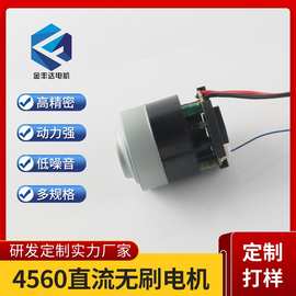 4560无刷电机高转速11万转11v车载吸尘器扫地机器人直流无刷马达