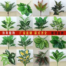 ���W�Lֲ�ﻨ�Gֲ�[�������~�҃������ٻ������쾰�Gɫ