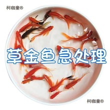 ���~���~���~��ˮ�^�p�~�J���~���~�~ʳС���~����̫����̫��