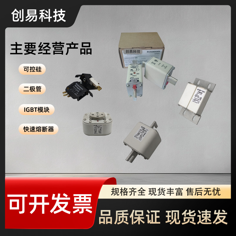 170M3689 170M3690 170M3691 170M3692 170M3693熔断器170M系列