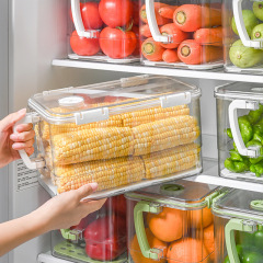 冷蔵庫保存ボックス食品グレード透明冷凍特殊キッチン密封ボックス卵クロスボーダーパン密封ボックス
