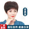 Reality Headgear Wig Short hair Head Hair Middle and old age mom Wig Headgear Manufactor wholesale