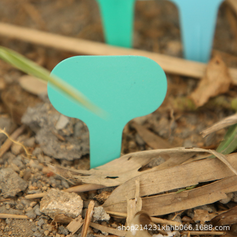 植物插地标牌