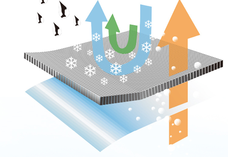 bd7a9f3978166eac83f29d7250f907