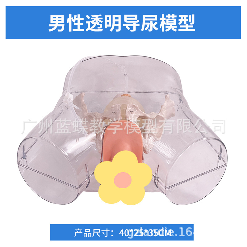 ��Ů��������ֳ�����ʵ���ֱ����ϰģ�ͽ�ѧ��������������ֳϵͳ