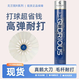 羽毛球