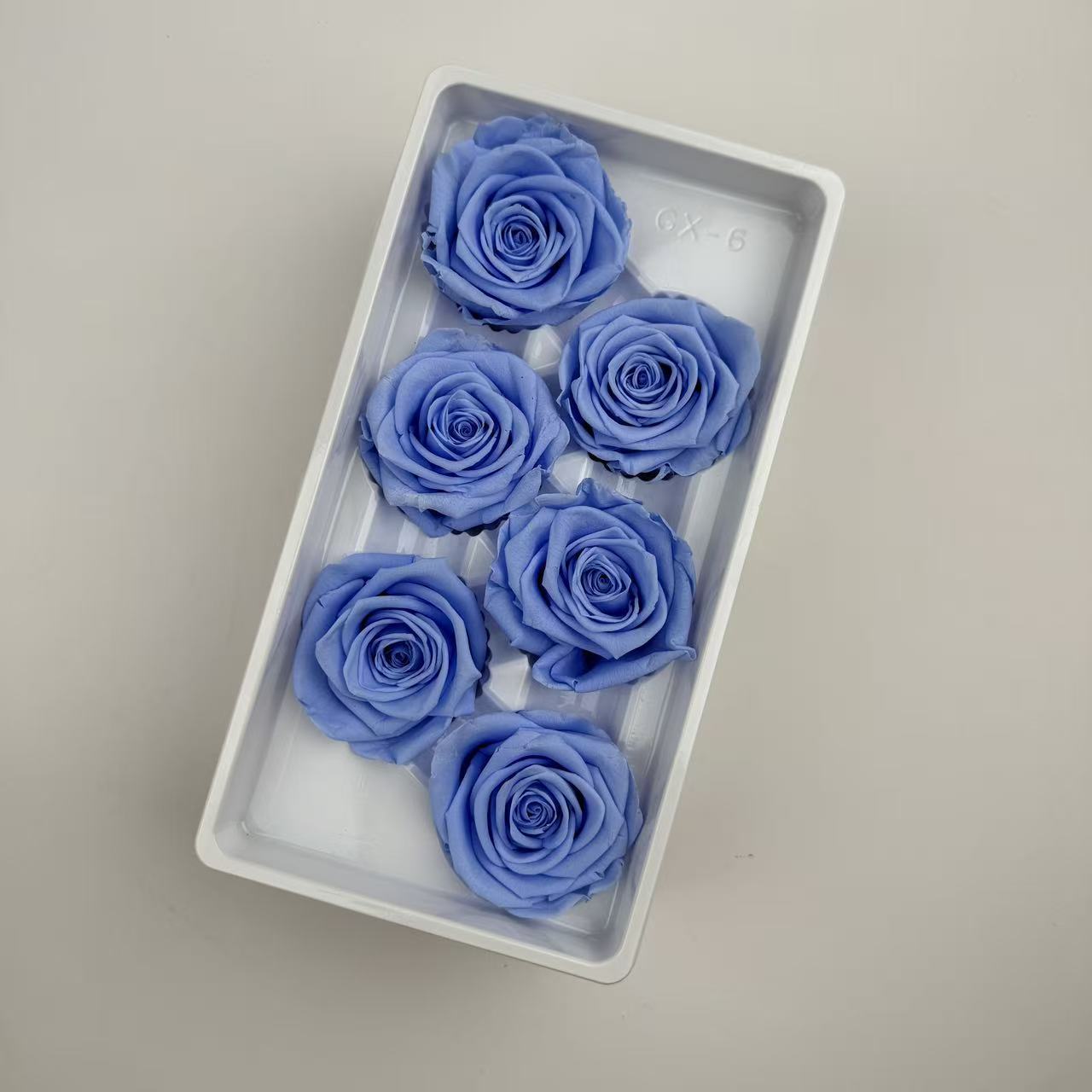 Cabezas de Rosa Preservadas B+, 5-6 cm, Ramo de Flores Frescas Preservadas, Flores Secas al por Mayor de Yunnan, para el Día de la Madre, 520