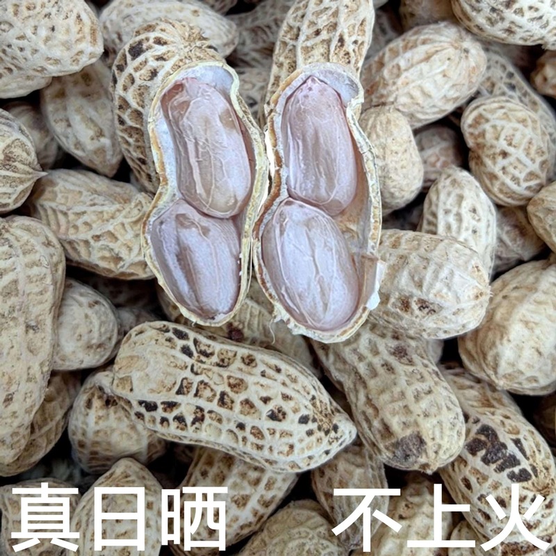 塩漬け乾燥茹で落花生、天日干しオリジナル白天日塩味、殻付き天日干し、広龍岩落花生スナック|undefined
