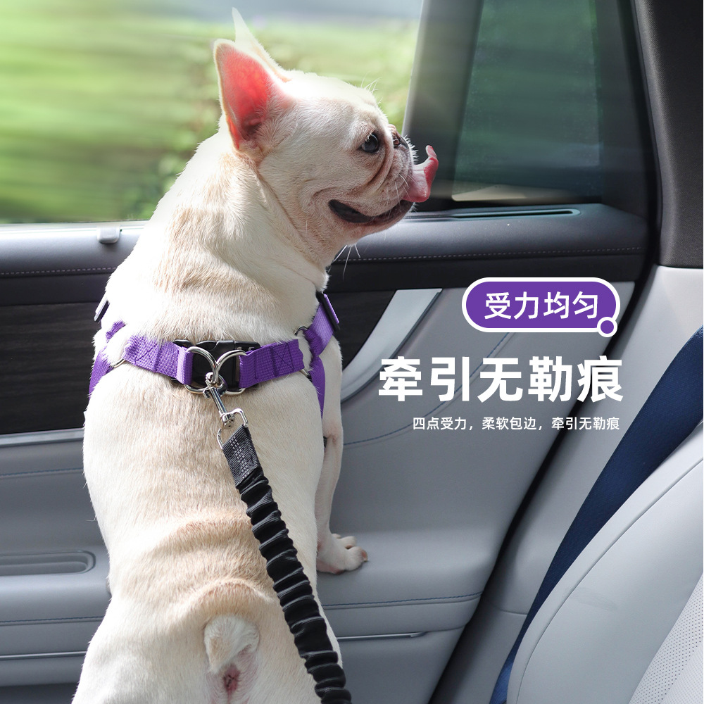 개 자동차 하네스 통근 애완 동물 하네스 편안한 마크 없음 개 탈출 방지 자동차 견인 로프 도매