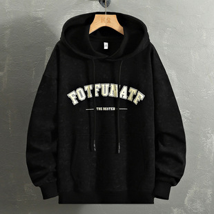 Sweater Men's 2024 New Spring and Autumn Hooded Loose Trendy Brand Duffy Handsome Long Sleeve High-end Handsome Youth Base Shirt