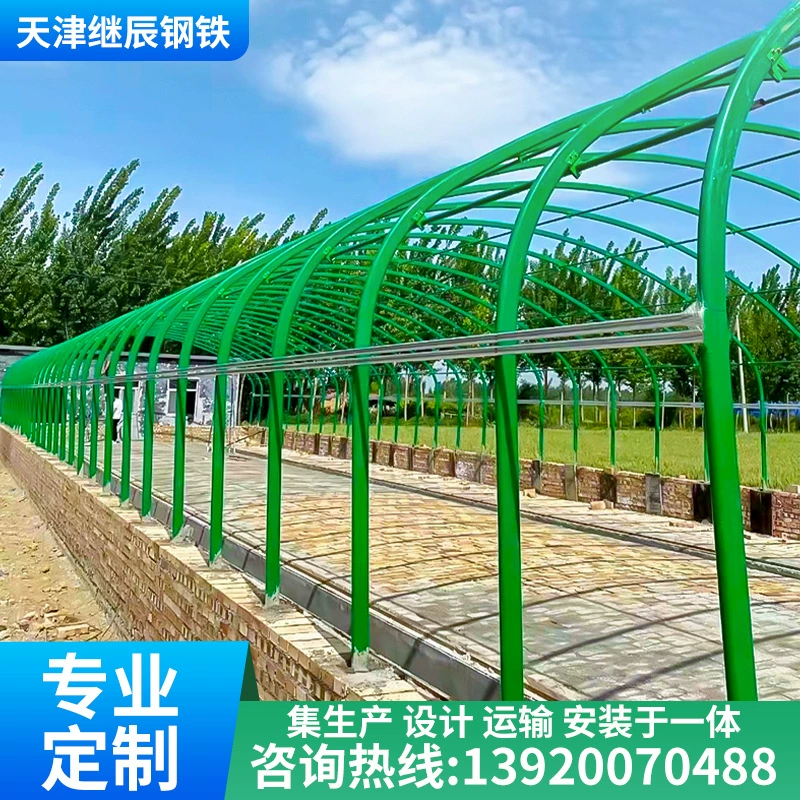 Оцинкованный скелет теплицы для разведения Hot-dip, теплица для курицы, утка для выращивания гусей, теплица для подкачки свиней, подведение крупного рогатого скота и овцы.