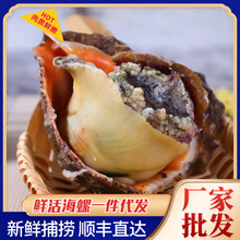 �������l�r���ش�Ұ����ؐ������ˮ�aؐ��rˮ�a������������