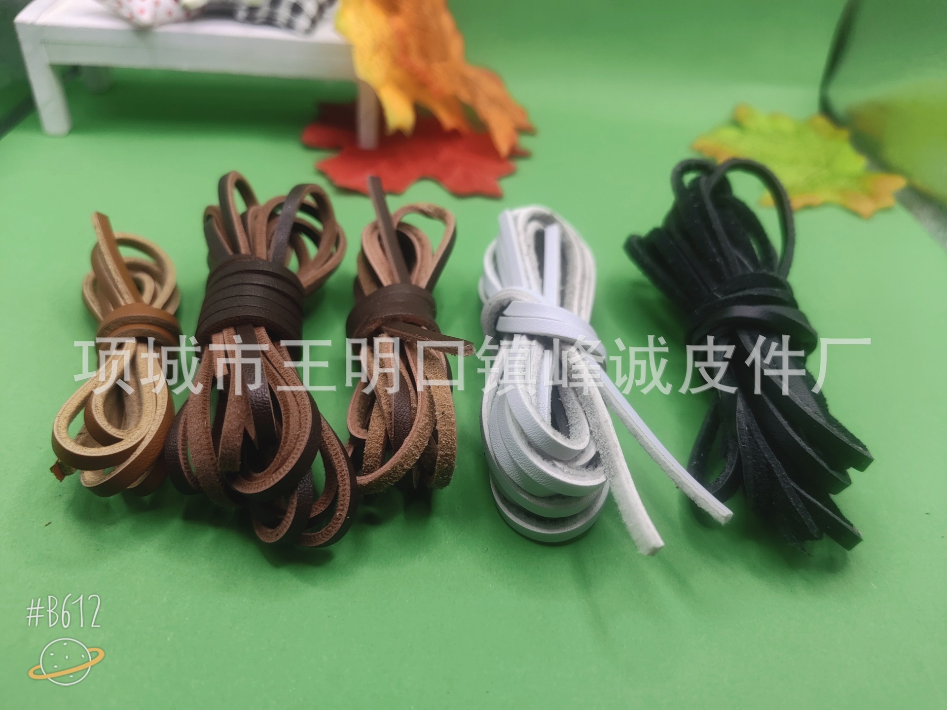 B612Kaji_20240119_203251_768