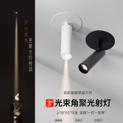 埋め込み型スポットライト開口部 75MM 小型スポットライト 小型角度ビーム 3 度 8 度雰囲気茶室美術館