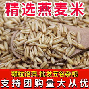 �����������l�r���Ԯa����s�Z �������� �������� ���� ���]