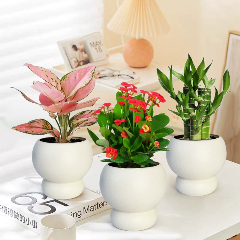 Скандинавские зеленые растения в облако, горшки для офиса, гостиной, горшечные настольные украшения, простые креативные популярные цветочные растения