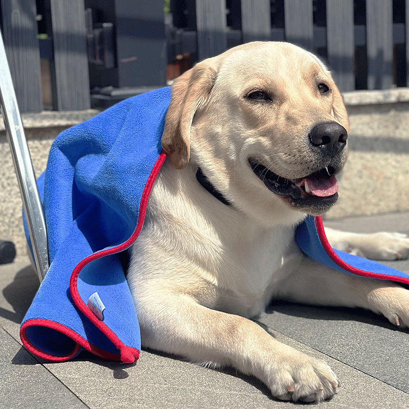 ���Ƴ���ë������è�乷���ٸ�˫��ɺ����ϴ��ë��������ˮ����