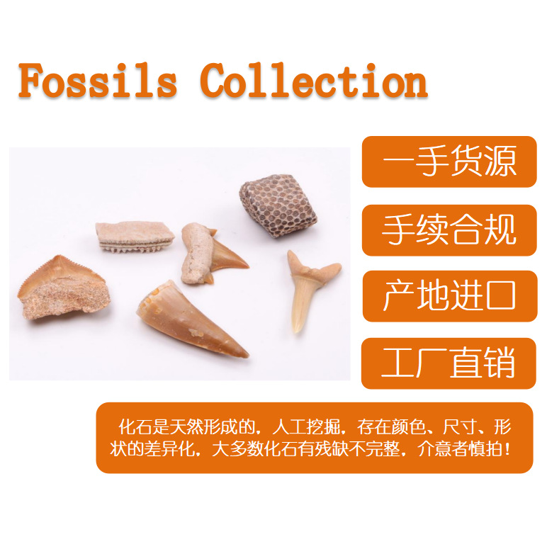 b4e5bbb7-824d-4732-b8f5-5c7391