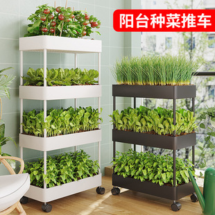 New Variety of Vegetables for Home Balcony Trolley Long Box Planting Rooftop Vegetables Strawberry Potted Flowers