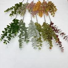 3����X�~�Ƶ�Ҿ�ܛ�b�쾰��ֲ��ɭϵ��Y���÷���Gֲ�羳���Q