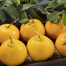 �Ĵ���Ҋ�ҰҸ����θ����˸�����ˮ�����r���䮔�����ٰ��]����