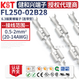 KST�����dFL250-02B28�B���� 6.3ĸ����B�@����K.S�B����UL�J�C