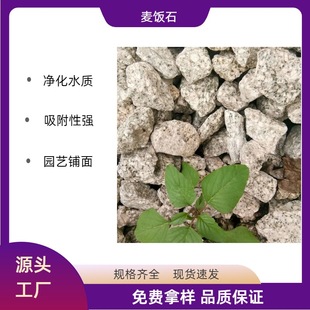 Wholesale Supply of Water Treatment Medical Stone Particles for Succulent Paving Fish Tank Water Purification Medical Stone