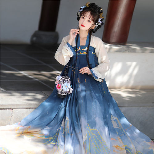 Tang Dynasty Hanfu Fairy dress for women  hanfu super fairy ancient printing embroidery double-breasted chest Ru skirt suit elegant ancient costume